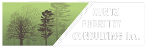 Kuntz Forestry logo